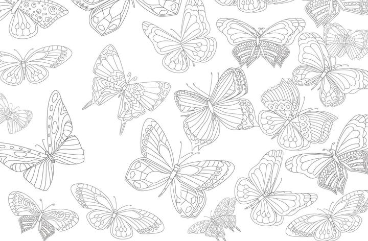 Immagine prodotto Colorful Mandala - Blüten und Schmetter