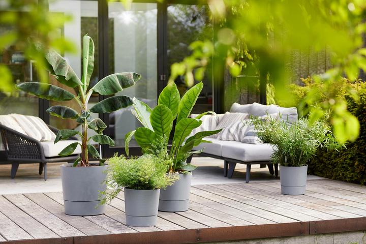 Produktbild Elho Blumenschale (35 x 34 cm)