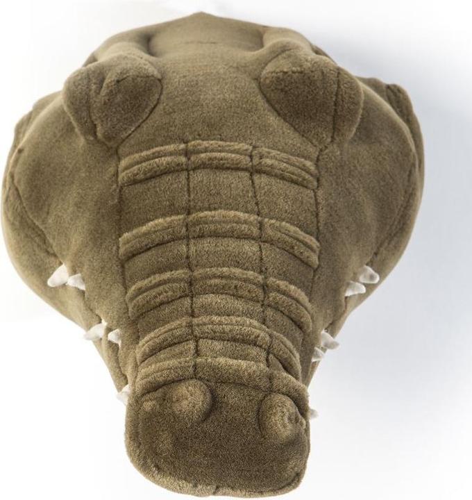 Image du produit Wild & Soft Tête d'animal Crocodile Francs