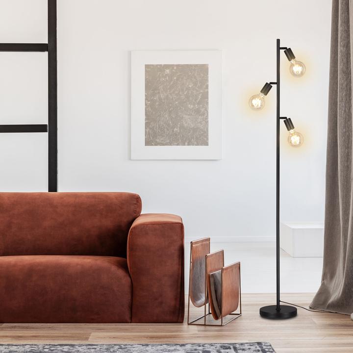 Actual product image Briloner Floor lamp (E27)