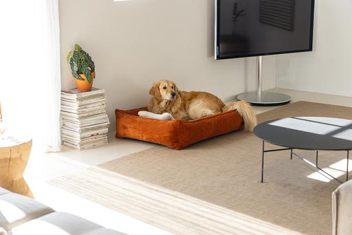 Actual product image Designed by Lotte Ribbed (Dog)