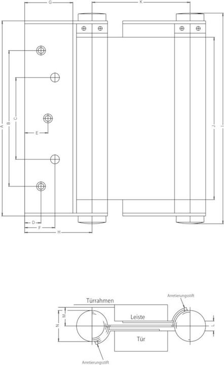 Actual product image Fridavo Spiral spring swing door hinge model M