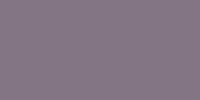 578 gris souris