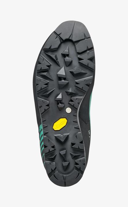 Produktbild Scarpa Mont Blanc Pro GTX Schuhe (41)