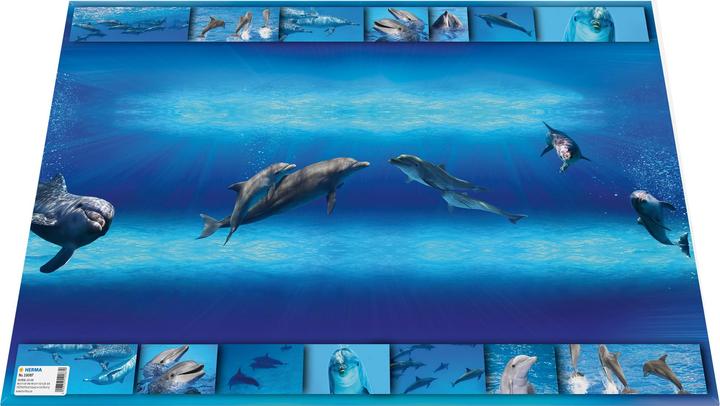 Image du produit Herma Sous-mains (1 x 35.5 x 55.5 cm)