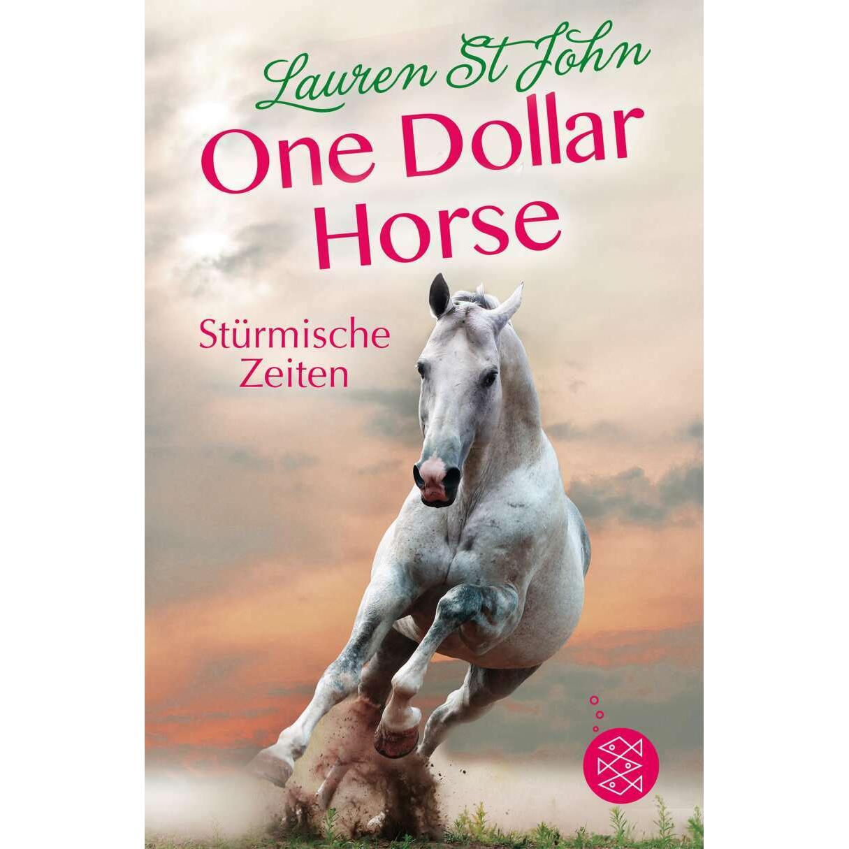 One Dollar Horse Stürmische Zeiten, Kinderbücher von Lauren St John, Christoph Renfer