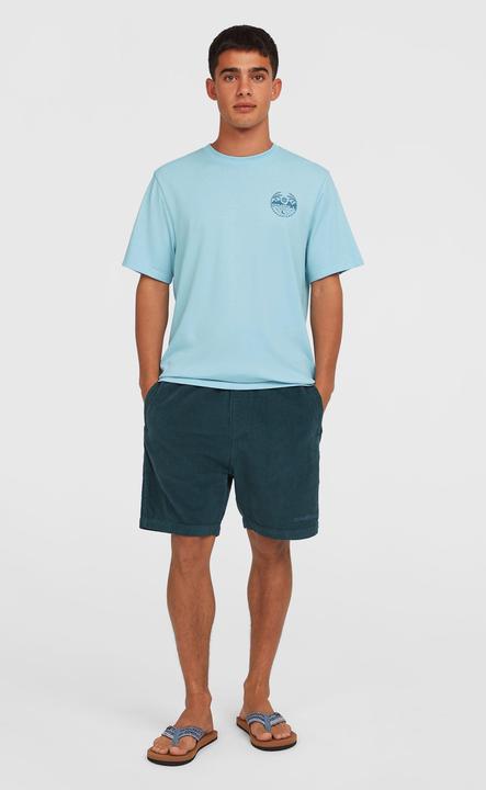Image du produit O'Neill Cord Shorts (XXL)