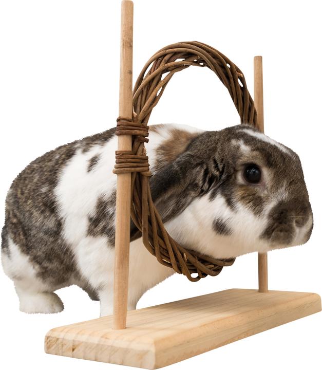 Produktbild Trixie Agility Set