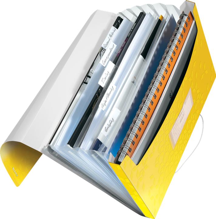 Immagine prodotto Leitz WOW - Cartelle di progetto (A4, 1x)