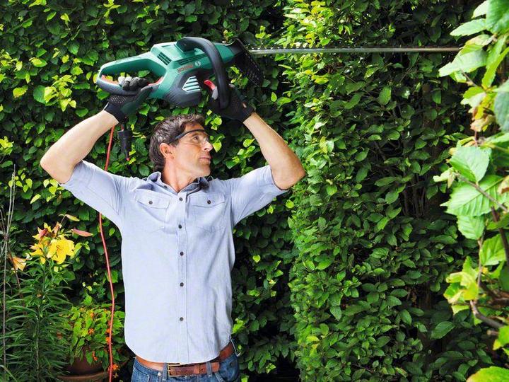Immagine prodotto Bosch Home & Garden Taglio avanzato della siepe (Batteria ricaricabile)