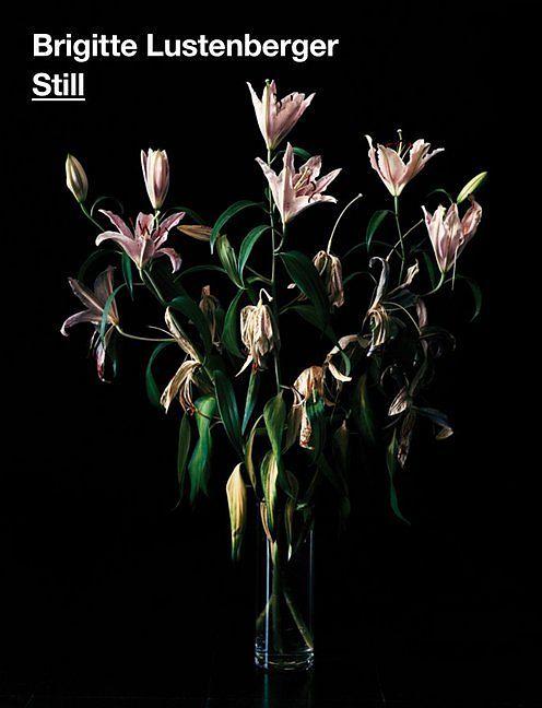 Produktbild Still (Deutsch, Englisch, Französisch, Brigitte Lustenberger, 2014)