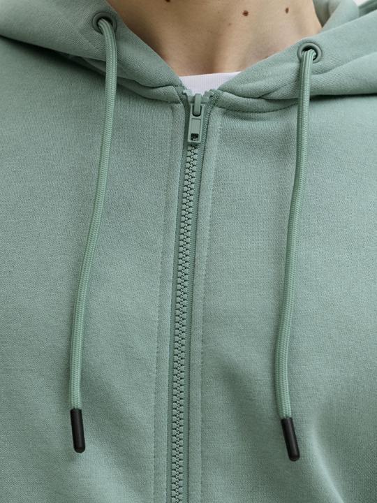 Produktbild Jack & Jones Jjebradley Sweat Zip Hood Noos (M)