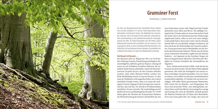 Produktbild Deutschlands alte Buchenwälder (Deutsch, Karl-Heinz Engel, 2015)