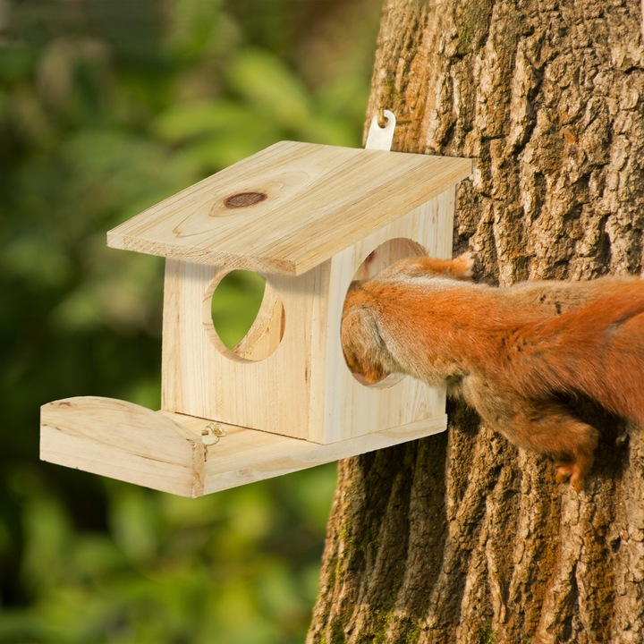 Actual product image Relaxdays Hanging Squirrel Feeder