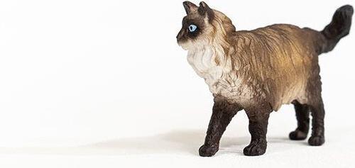 Image du produit Schleich Ragdoll Kat