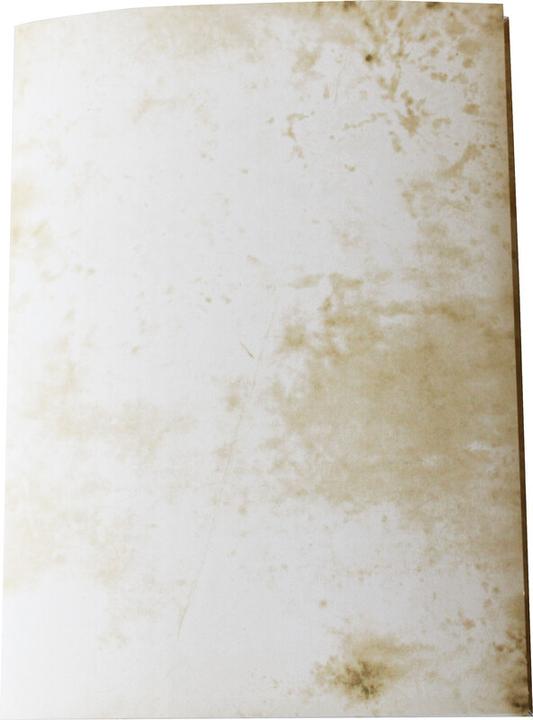 Image du produit Erola Papier antique (A3)