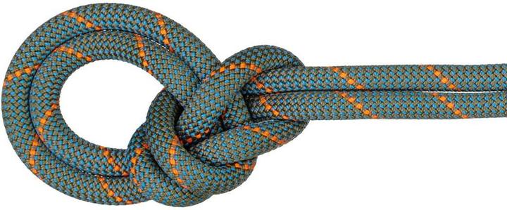 Mammut 9.9 Crag Workhorse Dry climbing rope (60 m)
