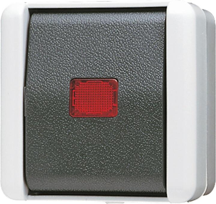 Produktbild JUNG Wipp-Kontrollschalter