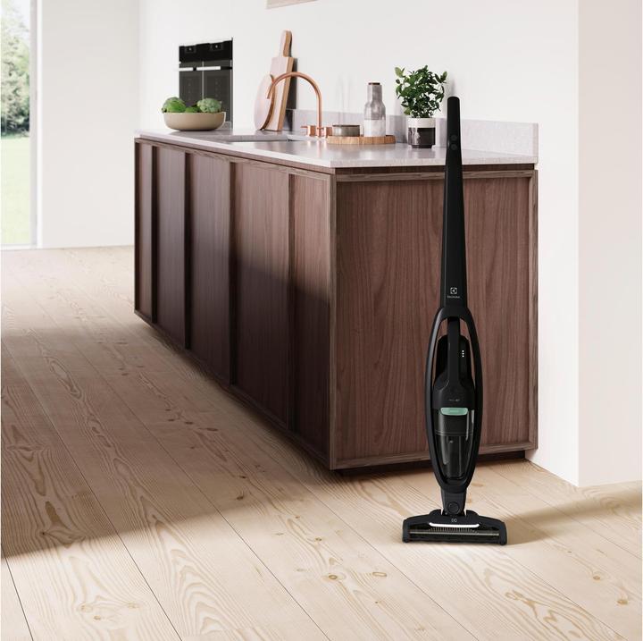 Actual product image Electrolux WQ71-GREEN