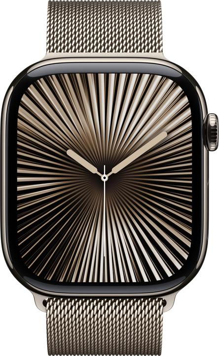 Image du produit Apple Boucle milanaise (46 mm, Acier inoxydable)