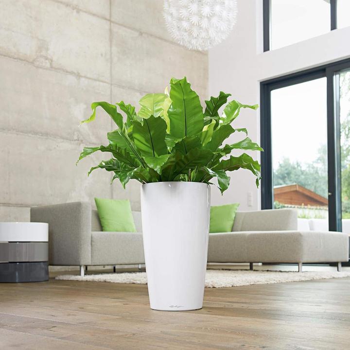 Produktbild Lechuza Rondo Gefäss (32.50 x 56.50 cm)