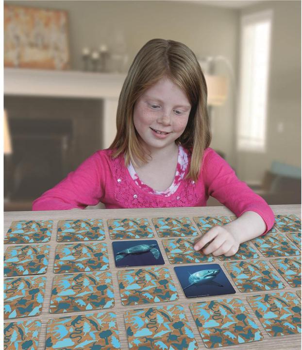 Actual product image Merchant Ambassador Memo underwater (German, Italian, French)