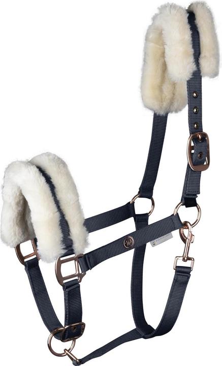 Immagine prodotto Waldhausen Halter Modern Rosé