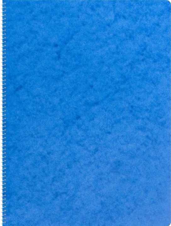 Novooo Spiralheft assortiert (A4, Liniert)