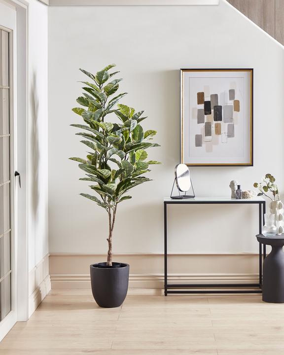 Immagine prodotto Beliani Ficus Elastica (160 cm)