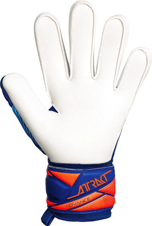Produktbild Reusch Attrakt Advance (8.5)