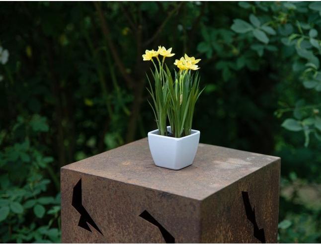 Actual product image Europalms Daffodil (23 cm)