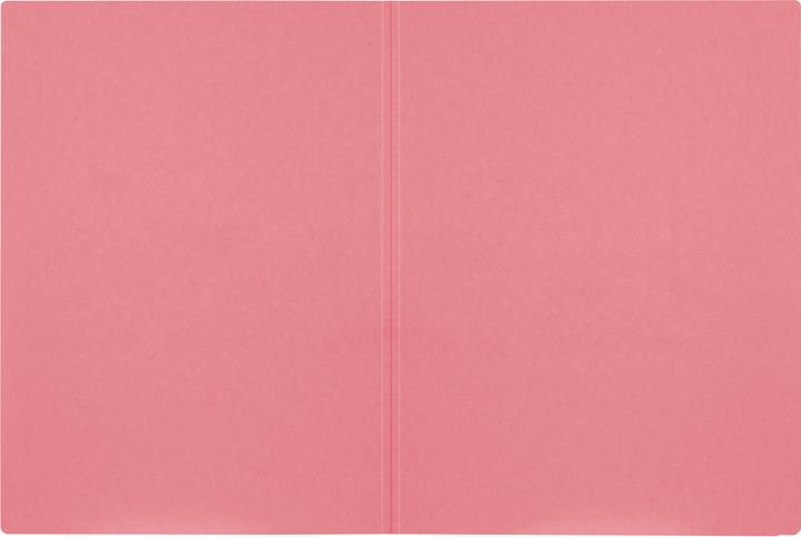 Actual product image Biella Insert folder without stapling (A4, 1x)