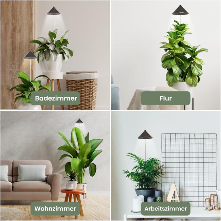 Actual product image Colibri SUNLiTE grey (LED, 230 V)