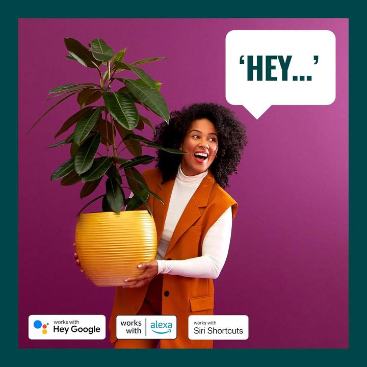 Image du produit WiZ Imageo (345 lm, GU10)