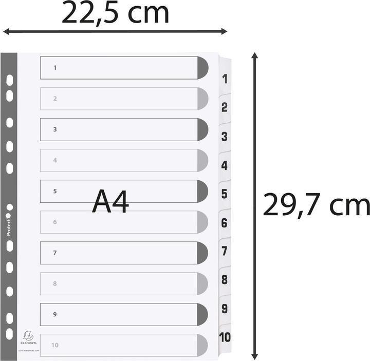 Image du produit Exacompta Registre