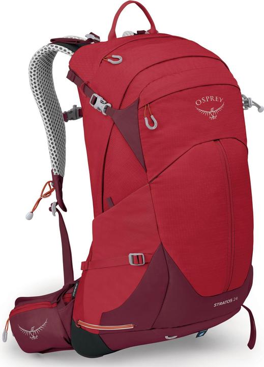 Red, Christmas flower