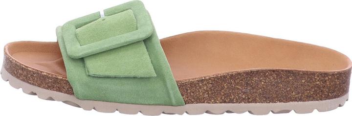 Verbenas REIKO 3304020 Kelp