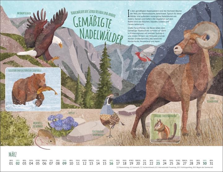 Produktbild Wo Tiere und Pflanzen zu Hause sind Kalender 2025 - Biome der Welt (44 x 34 cm)