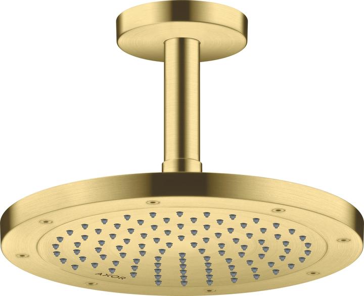 Produktbild Axor ShowerSolutions Deckenanschluss 100 mm