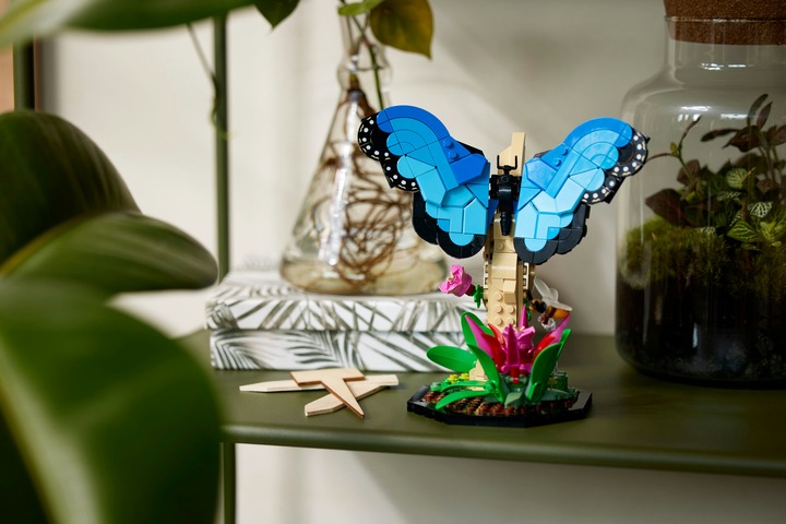 Actual product image LEGO Ideas The insect collection (21342, LEGO Ideas)