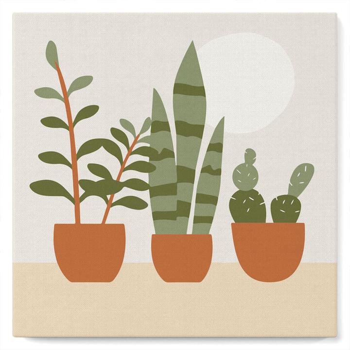 Immagine prodotto Figured'Art Mini Kit da Dipingere con i Numeri con Cornice - Succulente