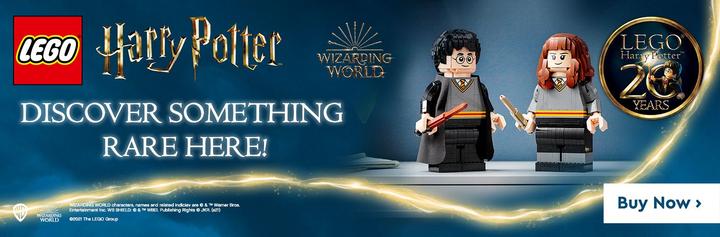 Produktbild LEGO Harry Potter & Hermine Granger (76393, LEGO Harry Potter, LEGO Seltene Sets)