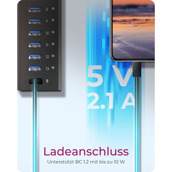 Immagine prodotto Icy Box Hub a 13 porte con connessione USB Type-A e 1x porta di ricarica, IB-AC6113 (USB-B, 13 porte)