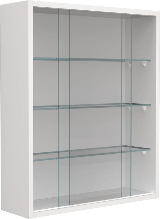 Produktbild VCM Hängevitrine Wandvitrine Glas Drivalo M (60 x 50 x 15 cm)