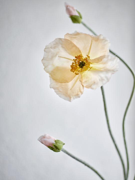 Immagine prodotto Bloomingville Papavero (110 cm)