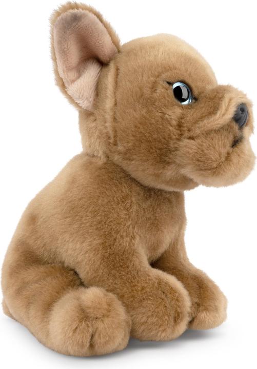 Produktbild Living Nature Französische Bulldogge Welpe beige