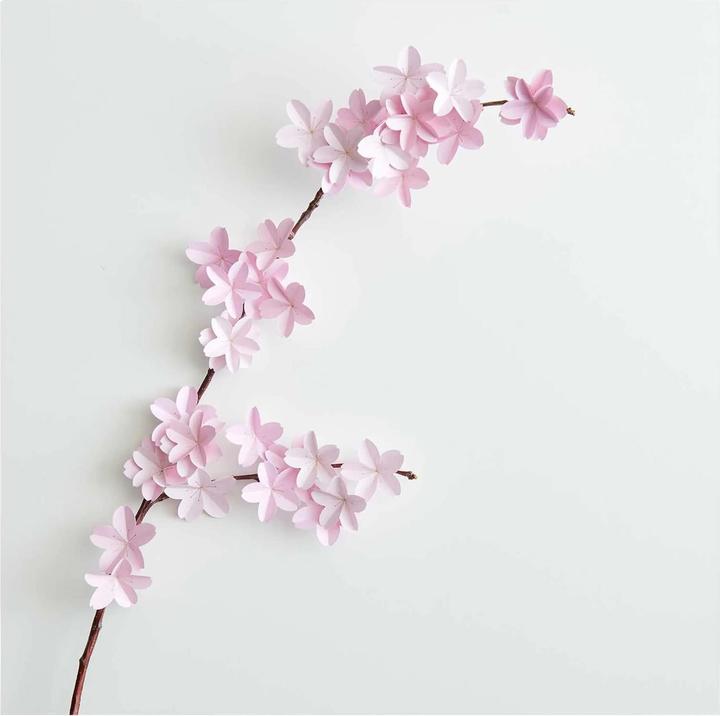 Immagine prodotto Paper Poetry Fiori di carta SAKURA
