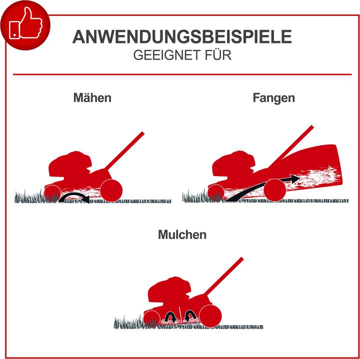 Produktbild Scheppach MS150-42 (Benzinbetrieb)
