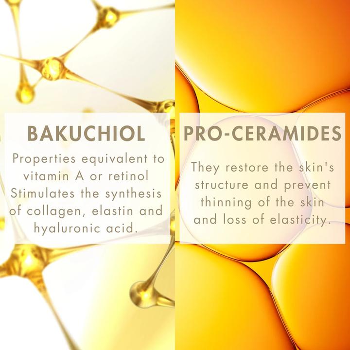 Image du produit Avène Crème de jour DermAbsolu (50 ml, Crème de jour)