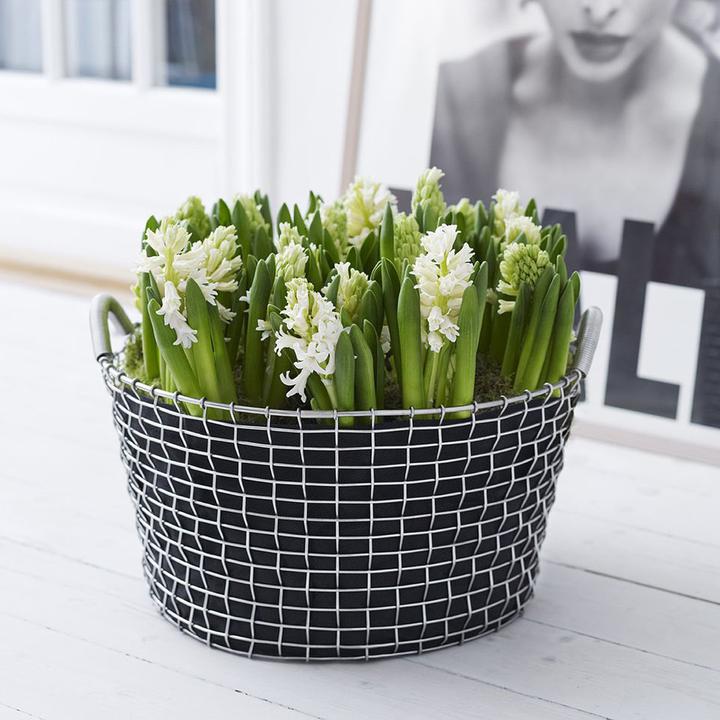 Produktbild Korbo Classic 50 Korb (45 cm)